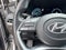 2025 Hyundai Palisade Limited